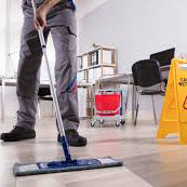 Professional Cleaning
